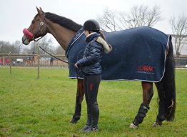 Témoignage de Romane Quillec, cavalière de haut niveau