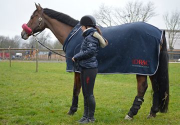 Témoignage de Romane Quillec, cavalière de haut niveau